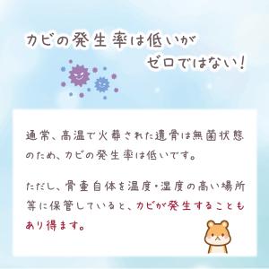 ペット 骨壺 乾燥剤 虹への祈り 珪藻土 遺骨...の詳細画像3