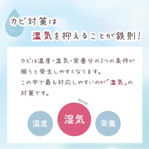 ペット 骨壺 乾燥剤 虹への祈り 珪藻土 遺骨...の詳細画像4