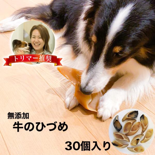 牛 ひづめ ノーマル 30個入り 犬 おやつ 無添加 無着色 ヒヅメ 蹄 ガム イヌ いぬ ストレス...