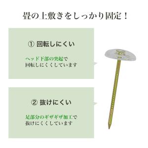 ござ 固定 ピン 針 カーペット 上敷鋲 50...の詳細画像2