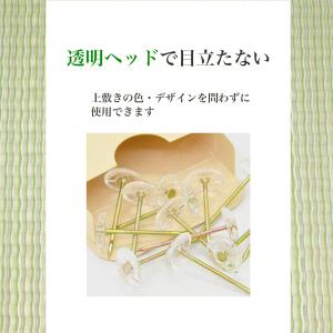 ござ 固定 ピン 針 カーペット 上敷鋲 50...の詳細画像3