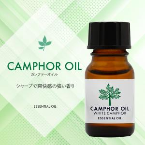 天然100% カンフルオイル 10ml ホワイ...の詳細画像1