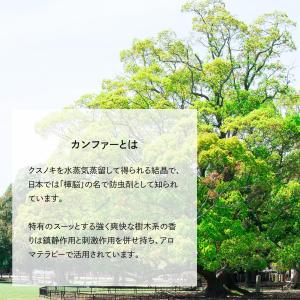 天然100% カンフルオイル 10ml ホワイ...の詳細画像2