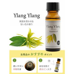 イランイラン オイル 20ml 精油 天然10...の詳細画像1