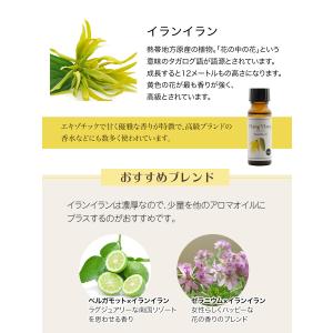 イランイラン オイル 20ml 精油 天然10...の詳細画像4