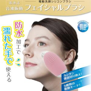 音波洗顔ブラシ 電動洗顔ブラシ 超音波振動 洗顔器 美顔器 黒ずみ 毛穴 EMS微電流 極細