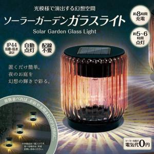 タカショー ダウンライト 角度調整タイプ 12V 24V ダウンライト 2型
