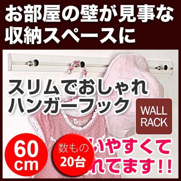 壁掛けフック おしゃれ 石膏ボード 数もの対応 20台 スリムレールフック 60cm