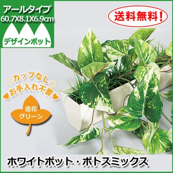 造花グリーン/ポット/細長/曲線/カップなし【GR4052】W60.7XH8.05XD6.8cm