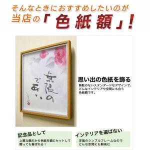 色紙額縁 色紙額 色紙用フレーム メモリアルB...の詳細画像4
