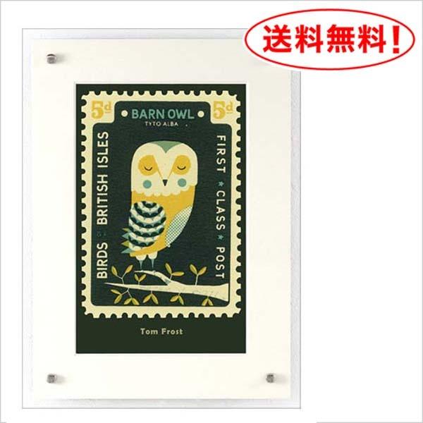 トムフロスト ジークレーポスター【OWL -ふくろう】