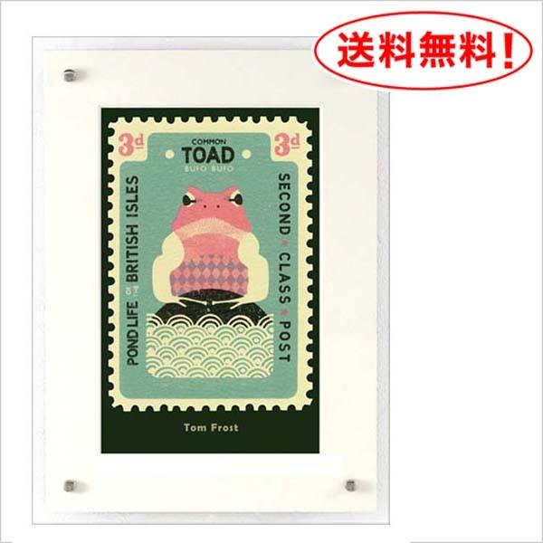 トムフロスト ジークレーポスター【TOAD -ひきがえる】
