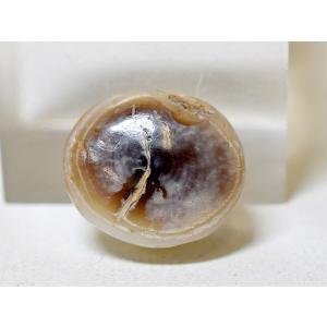 ●わくわく とんぼ玉★Ancient Luk Mik 1眼ルックミ 古代羊眼天珠 護符石6（Φ18.0mm）【2203】【送料無料】【CB21017-6】