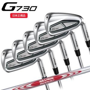 MIZUNO（ミズノ） ゴルフ Mizuno Pro ミズノプロ 225 アイアンセット 6