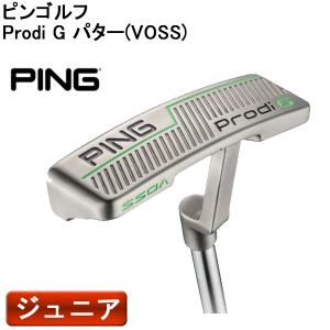 ( 特注 納期2-7週 )( ジュニア用 )ピンゴルフ Prodi G