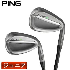 ( 特注 納期1-3週 )( ジュニア用 )ピンゴルフ Prodi G