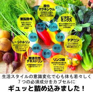 在庫売り尽くしセール 足がつる サプリ ミネラ...の詳細画像2
