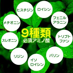 ルイボスティー お得 ギフト 34倍 SOD ...の詳細画像5