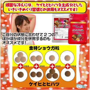 クーポン利用で お得 ポカポカ サプリ セット...の詳細画像4