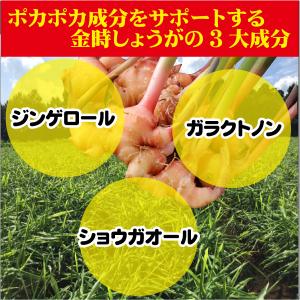クーポン利用で お得 ポカポカ サプリ セット...の詳細画像1