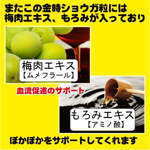 クーポン利用で お得 ポカポカ サプリ セット...の詳細画像3