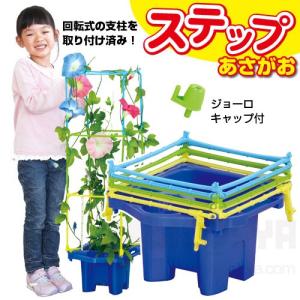 ステップあさがお Bセット  不可