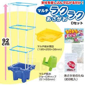 マルチラクラクあさがお Dセット  不可