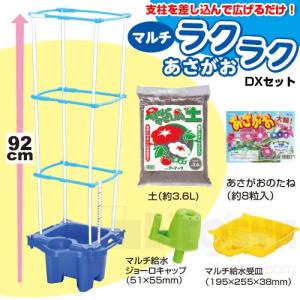 マルチラクラクあさがお DXセット  メール便不可