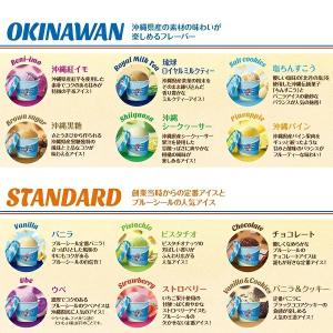 ブルーシールアイス ギフト12 アイスクリームの詳細画像3