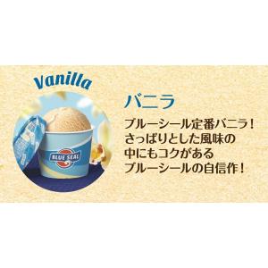 ブルーシールアイス ギフト12 アイスクリームの詳細画像4