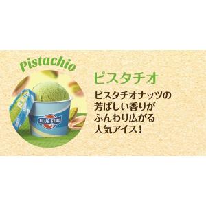 ブルーシールアイス ギフト12 アイスクリームの詳細画像5
