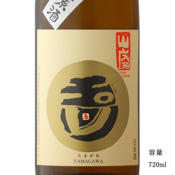 日本酒 玉川 2023BY 山廃本醸造無濾過生原酒 720ml 京都府 木下酒造