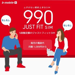 b-mobile S 990ジャストフィットSIM 申込パッケージ　BM-JF2-P（ドコモネットワーク / ソフトバンクネットワーク / SIMカードは申込後に配送）