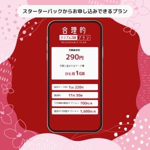 日本通信 日本通信SIMスターターパック NT...の詳細画像2