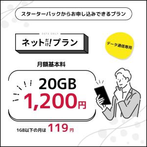 日本通信 日本通信SIMスターターパック NT...の詳細画像5