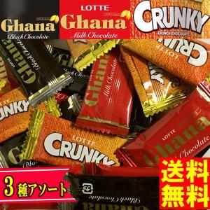 ネコポス送料無料 ★ロッテ ガーナ＆クランキー シェアパック から　小袋10個★ ペイペイ消化