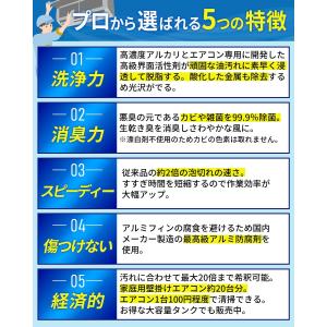 エアコン洗浄剤 カビ取り カビ取り剤 カビホワ...の詳細画像3