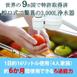 蛇口直結式 (浄水器本体と交換用カートリッジ1個付 ) ろ過能力3000リットル (01)