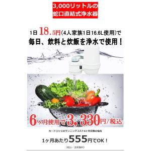 ろ過能力3000リットル 蛇口直結式浄水器本体...の詳細画像1