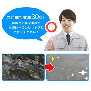 衣類のカビホワイト お試し用50ml ダウンジ...の詳細画像2