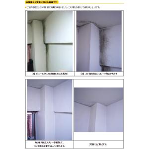 カビ取り剤のカビホワイト お得な4点セット お...の詳細画像2
