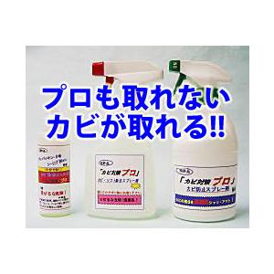 カビ取り・カビ対策OK！プロも取れないカビが簡単に取れる！【カビソフト除去・除去ジェル・防止の お得な3点Bセット！】（03kabi）
