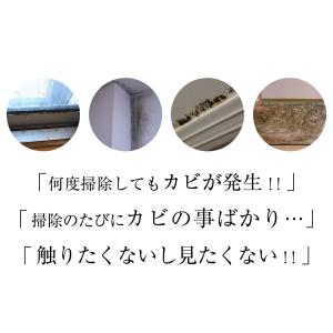 カビ取り カビ取り剤のカビホワイト カビ防止ス...の詳細画像3