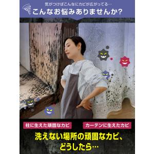 カビホワイト カビソフト除去スプレー カビ取り...の詳細画像2
