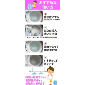 カビ取り カビホワイト 洗たく槽のカビ取り剤 ...の詳細画像4
