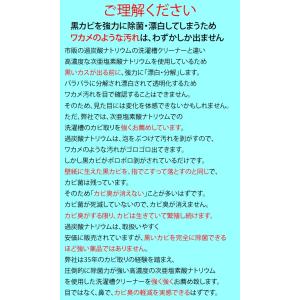 カビ取り カビホワイト 洗たく槽のカビ取り剤 ...の詳細画像5