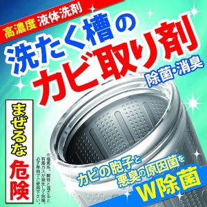 洗濯槽 掃除 洗剤 カビ取り ドラム式もＯＫ 柔軟剤が香る♪