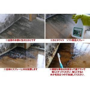 カビホワイト カビソフト除去スプレー カビ取り...の詳細画像2
