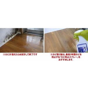 カビホワイト カビソフト除去スプレー カビ取り...の詳細画像3