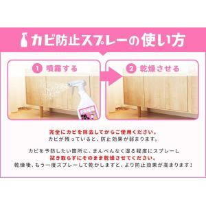 カビ取り カビ取り剤のカビホワイト 水性カビ防...の詳細画像5